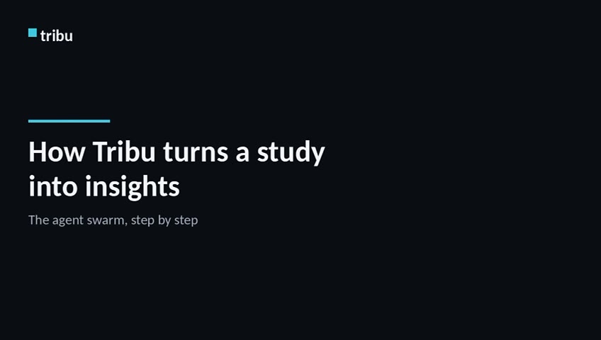 Tribu — how a study turns into insights